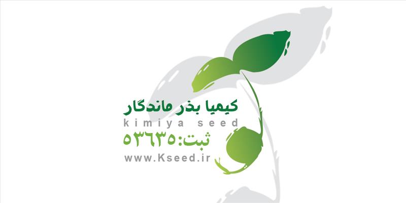 کیمیا بذر ماندگار 