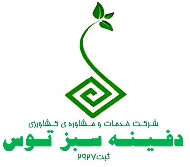 دفینه سبز توس 