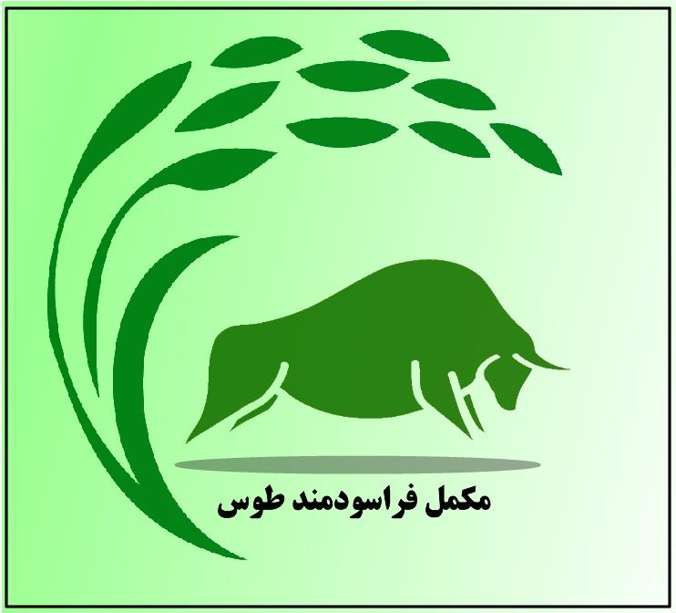 مکمل فراسودمند طوس 