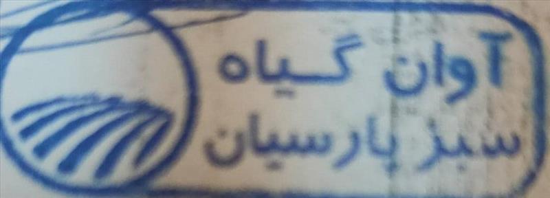 آوان گیاه سبز پارسیان 