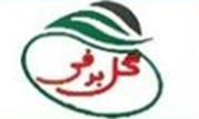  گل برفی هاشمیان 