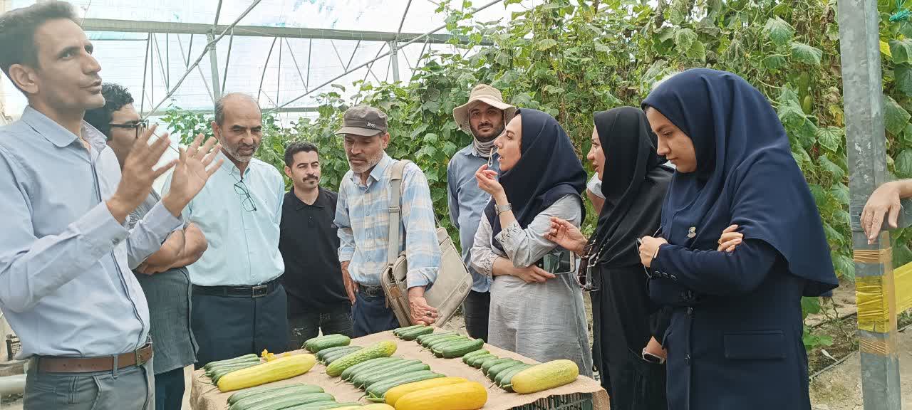 تور بازدید شرکت‌های دهکده فناوری و نوآوری کشاورزی از شرکت بیتا ژن گستر جام